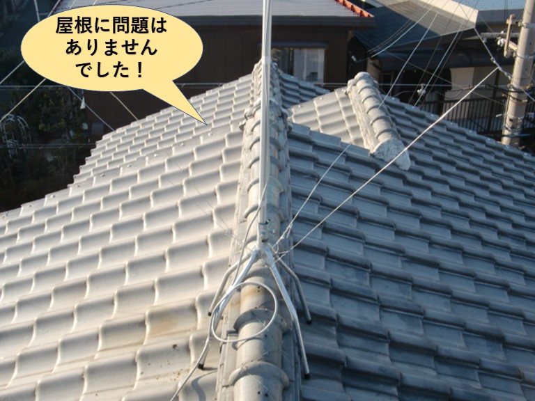 和泉市の屋根に問題はありませんでした！