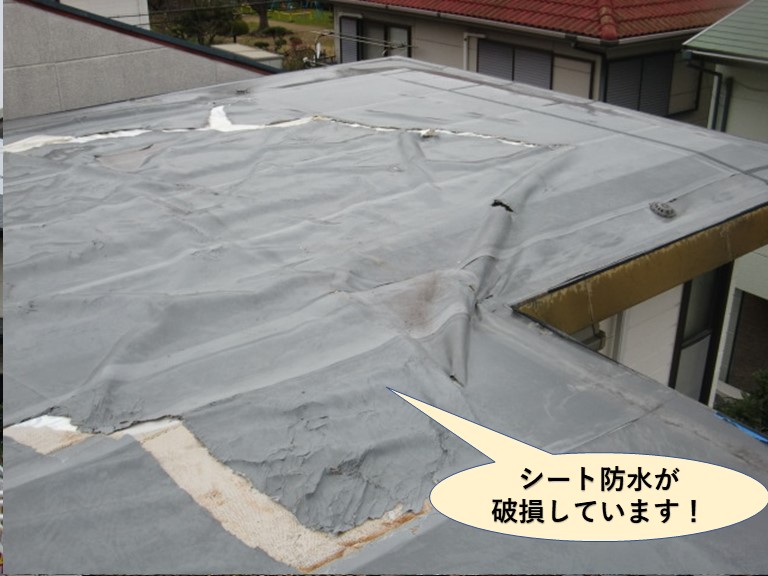 貝塚市の陸屋根のシート防水が破損しています