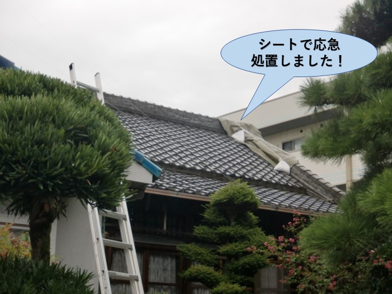 岸和田市の屋根をシートで応急処置
