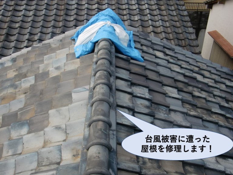 貝塚市の台風被害に遭った屋根の修理