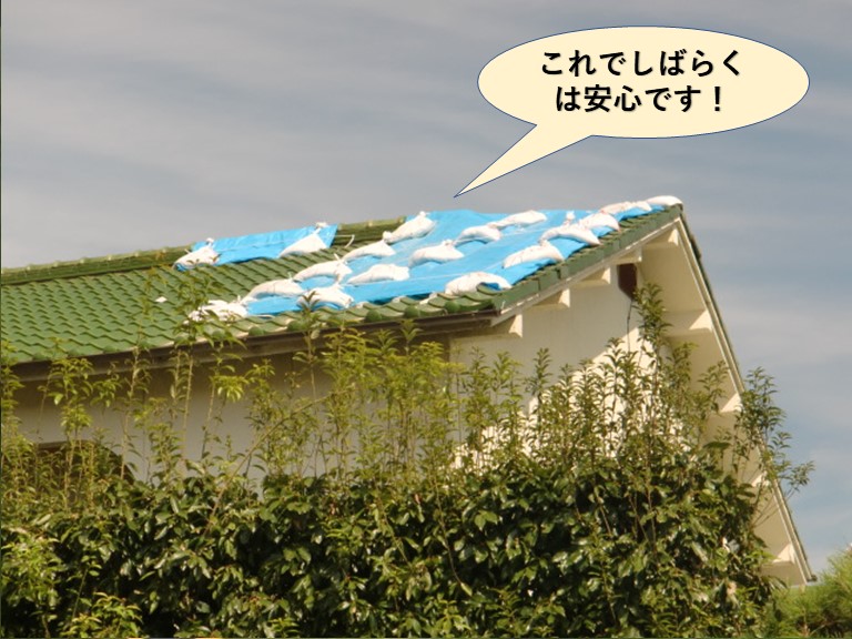 岸和田市の屋根の応急処置・これでしばらくは安心です！