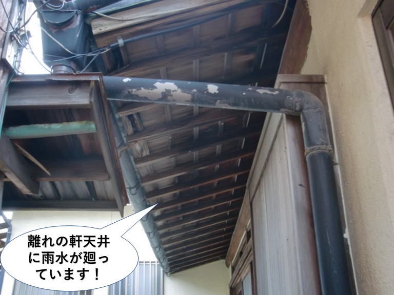 岸和田市の離れの軒天井に水が廻っています