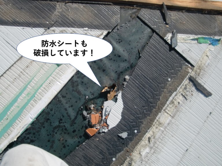 泉南市の屋根の防水シートも破損しています