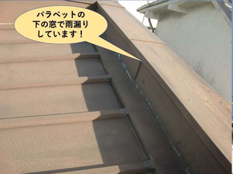 岸和田市の屋根のパラペットの下の窓で雨漏りしています
