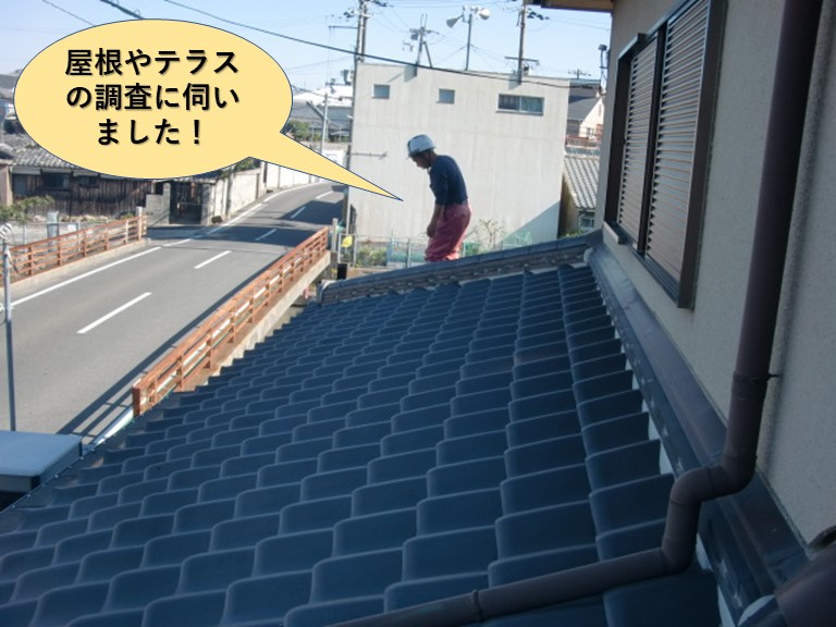 和泉市の屋根やテラスの調査に伺いました