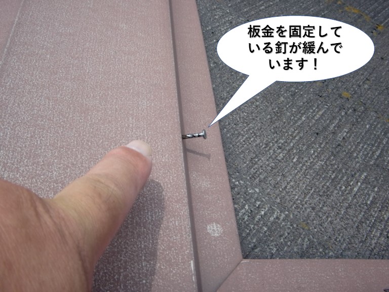 岸和田市の屋根の板金を固定している釘が緩んでいます