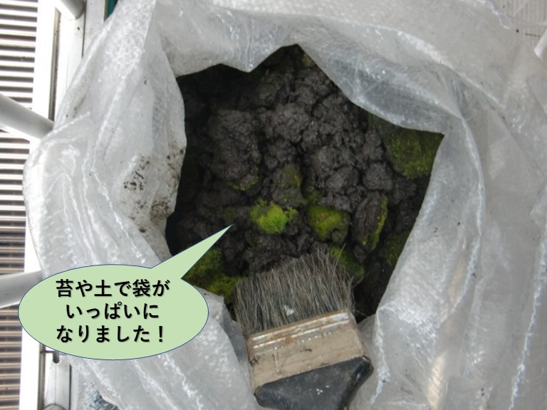 岸和田市のテラス屋根の雨樋を清掃/苔や土で袋がいっぱいになりました