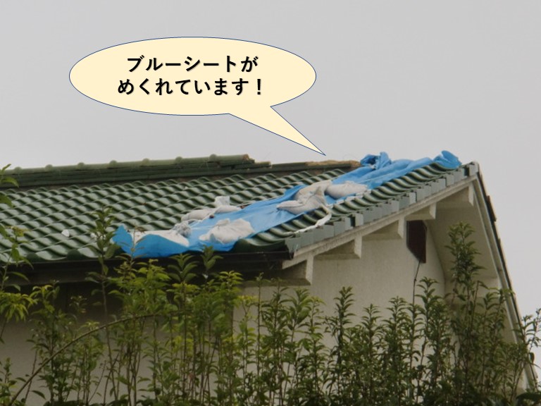 岸和田市の屋根のブルーシートがめくれています
