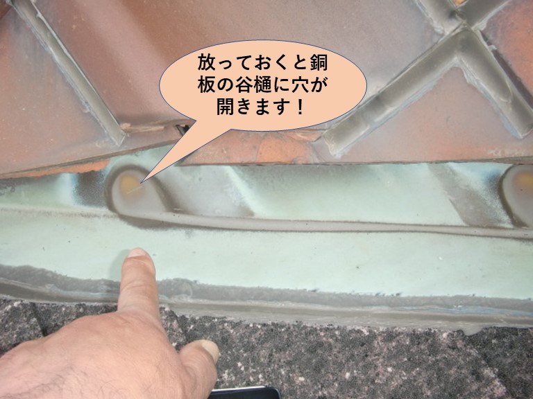 岸和田市の増築部の屋根が塗装が剥がれて屋根材が傷んでいます