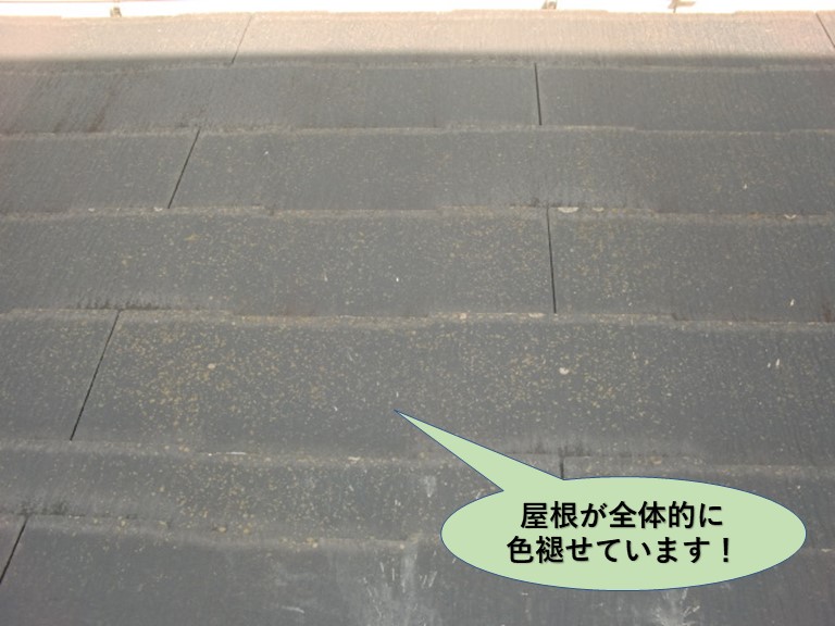 岸和田市の屋根が全体的に色褪せています