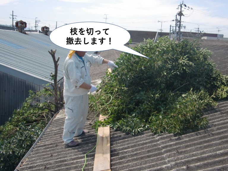 岸和田市の木の枝を切って撤去します