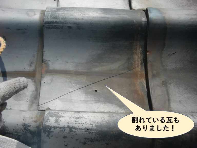 岸和田市の屋根に割れている瓦もありました