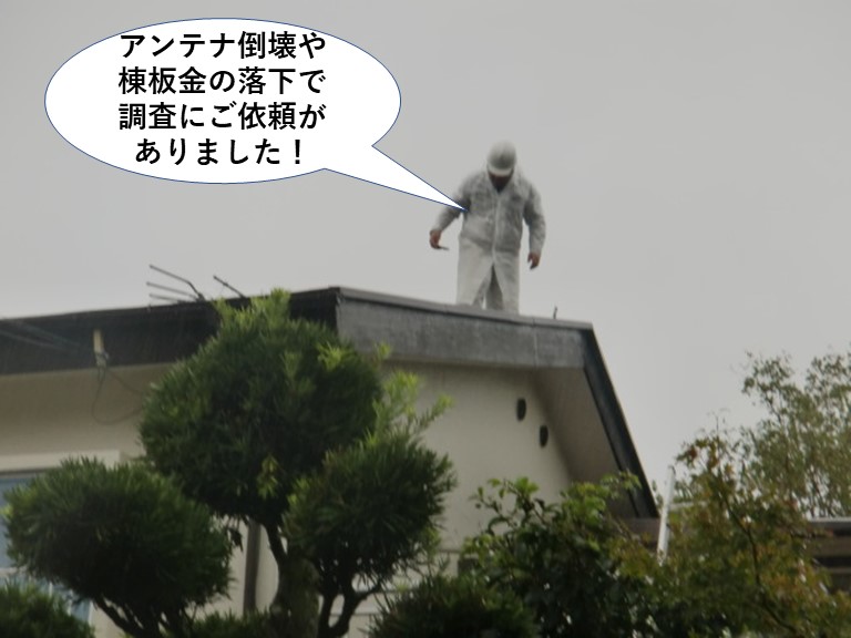 岸和田市のアンテナ倒壊や棟板金の落下で調査のご依頼がありました！