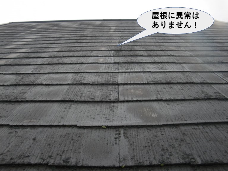 岸和田市の屋根に異常はありません