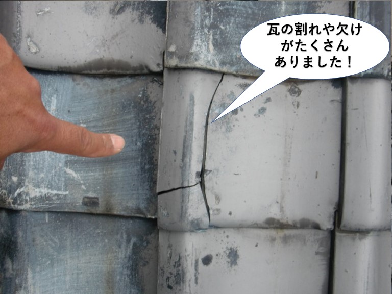 熊取町の瓦の割れや欠けがたくさんありました