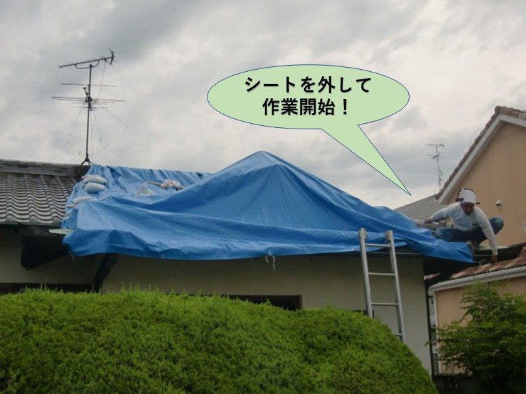 岸和田市の屋根にかけたシートを外して作業開始！