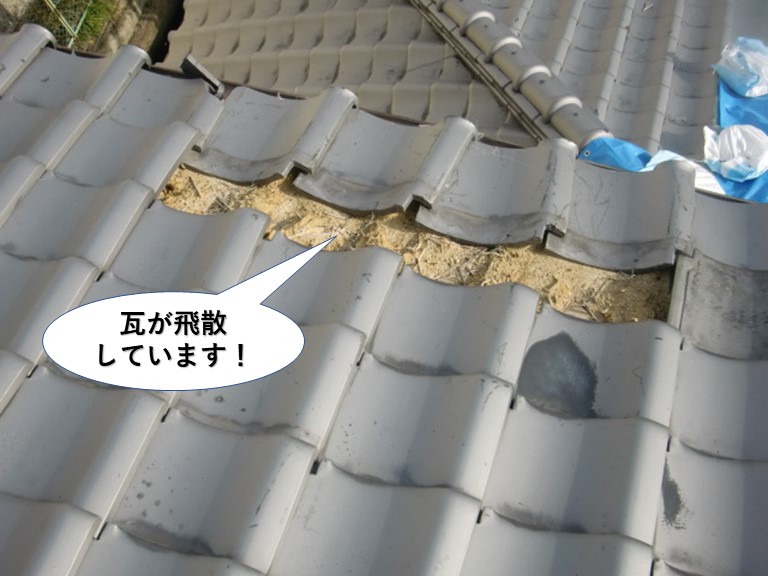 岸和田市の大屋根の瓦が飛散しています