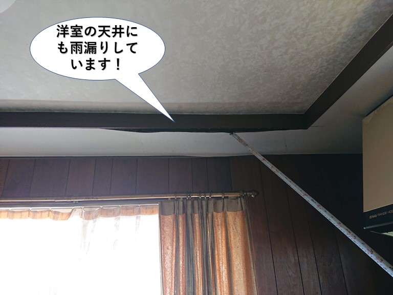 岸和田市の洋室の天井にも雨漏りしています