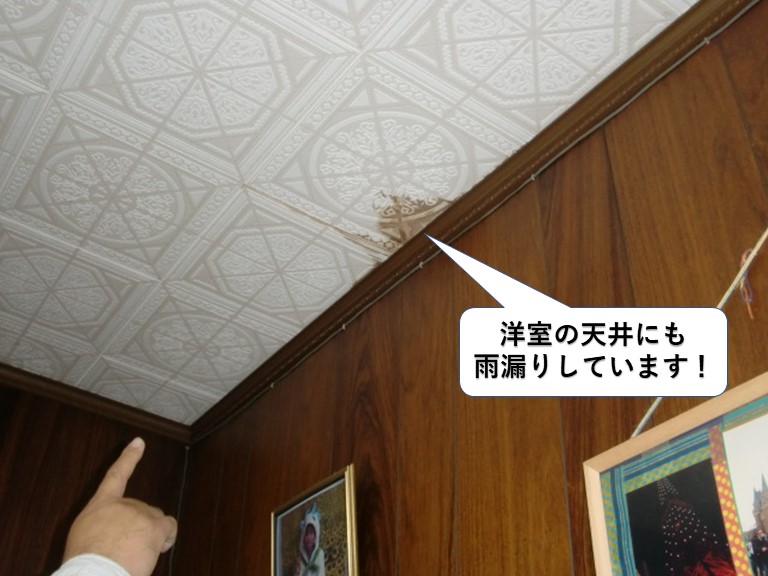 泉大津市の洋室の天井にも雨漏りしています