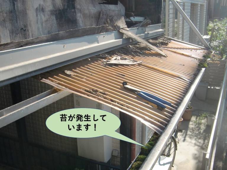 堺市中区の波板の下に苔が発生！