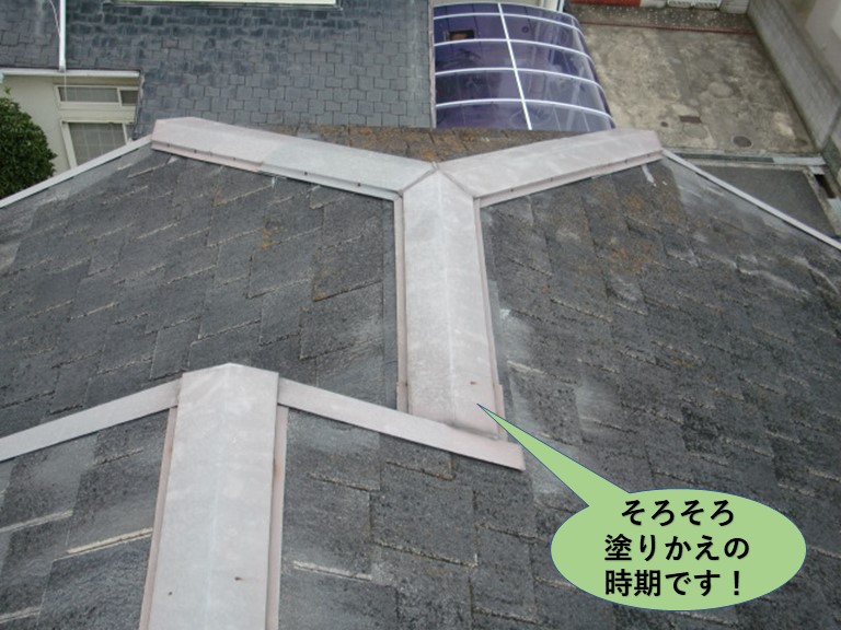和泉市の屋根点検/屋根の塗り替え時期