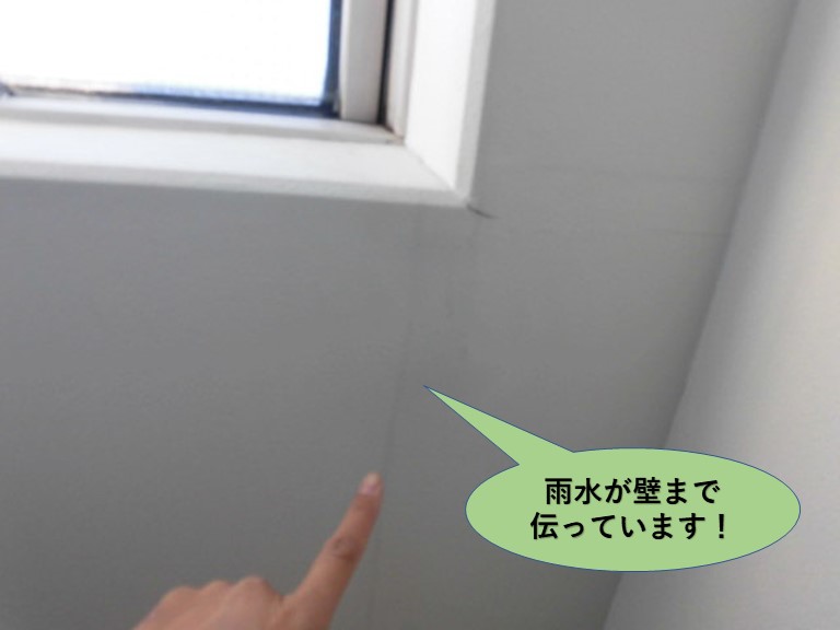 岸和田市で天窓から雨水が壁まで伝っています