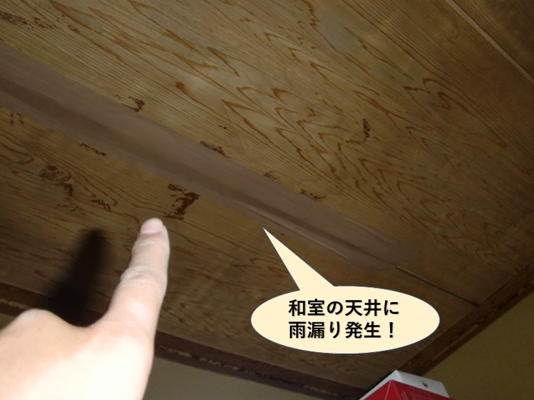 泉南市の和室の天井に雨漏り発生