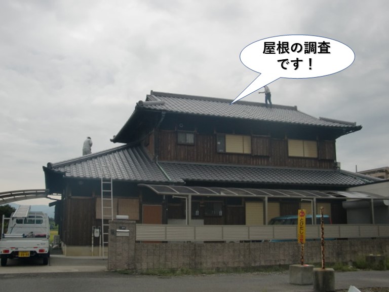 熊取町の屋根の現地調査です
