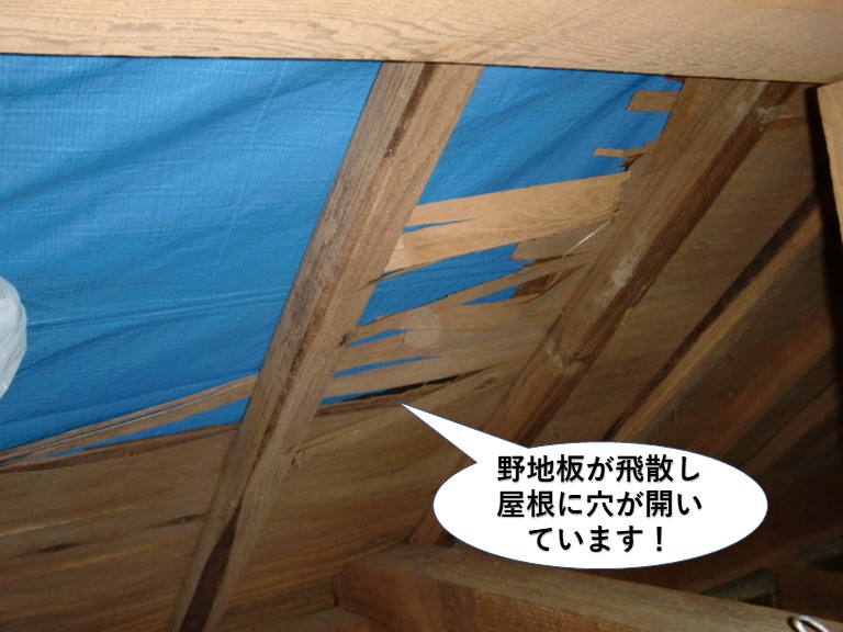 熊取町の野地板が飛散し屋根に穴が開いています