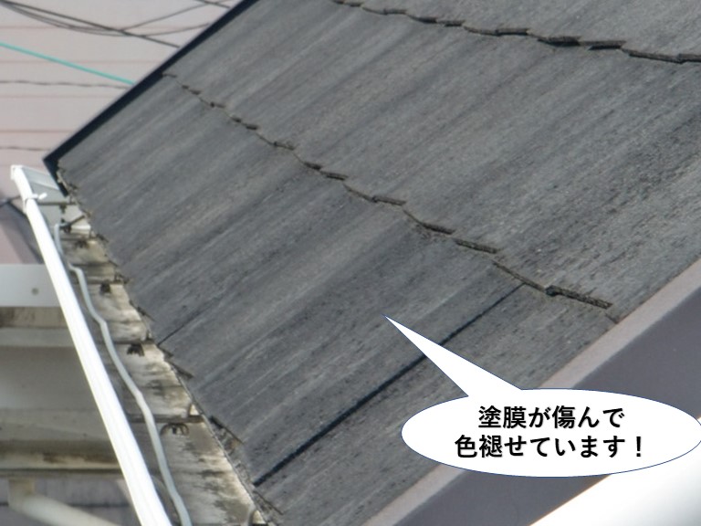 和泉市の屋根の塗膜が傷んで剥がれています