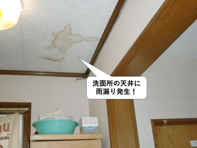泉大津市の洗面所の天井に雨漏り発生