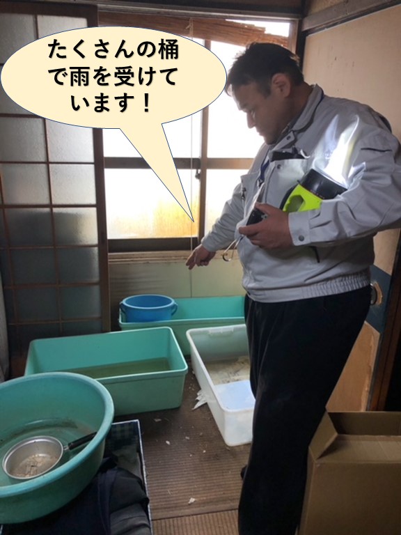 岸和田市でたくさんの桶で雨を受けています