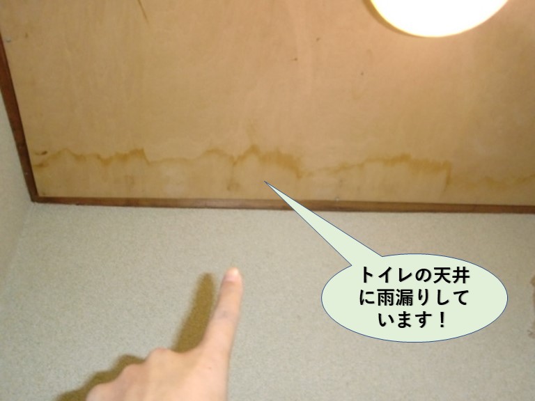 岸和田市のトイレの天井に雨漏りしています