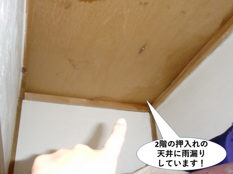 岸和田市の2階の押入れの天井にも雨漏り発生