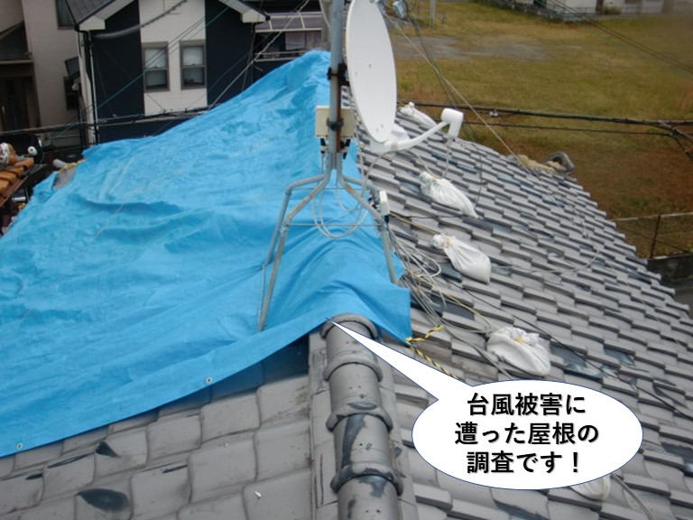貝塚市の台風被害に遭った屋根の調査