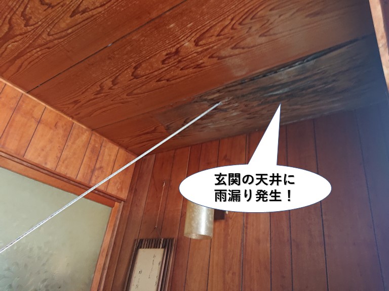 岸和田市の玄関の天井に雨漏り発生