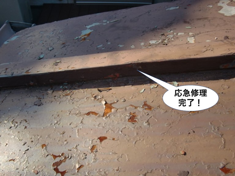 貝塚市の板金屋根応急修理完了
