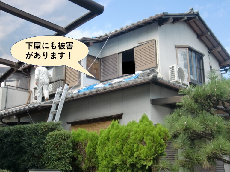 阪南市の下屋にも被害があります