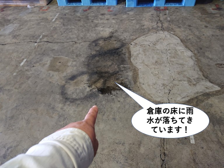 和泉市の倉庫の床に雨水が落ちてきています
