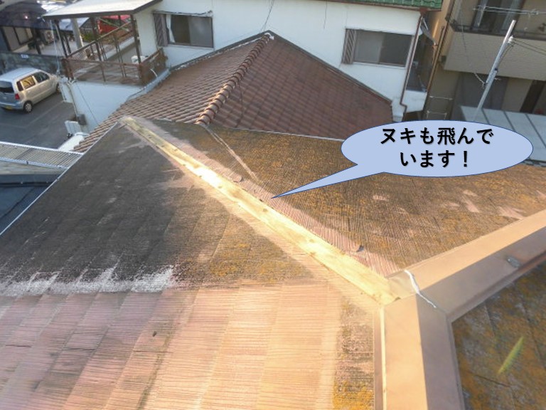 泉大津市の屋根のヌキも飛んでいます！