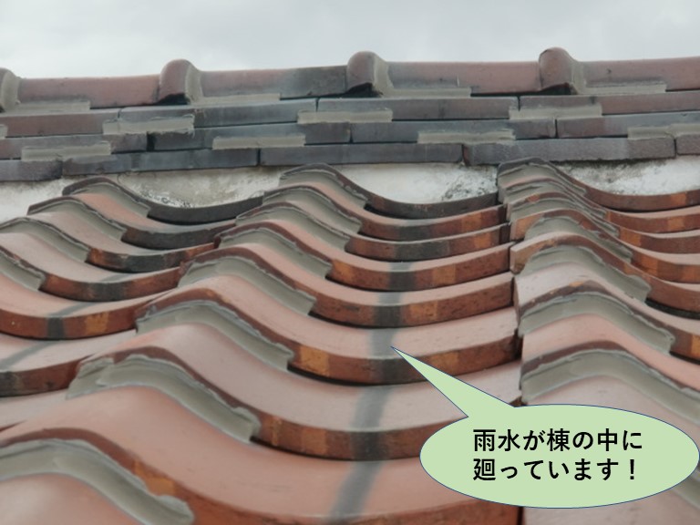 岸和田市の棟の中に雨水が廻っています！