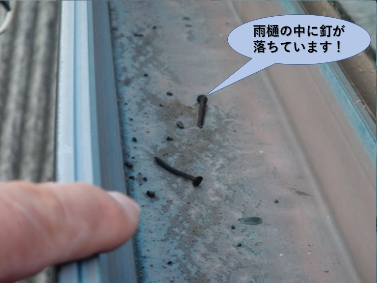 阪南市の雨樋の中に釘が落ちています！