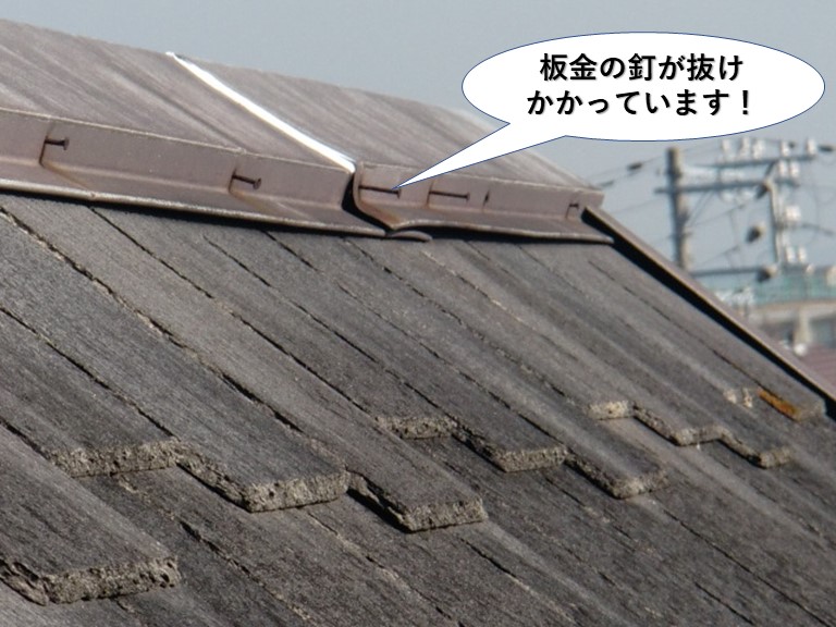 岸和田市の棟の板金の釘が抜けかかっています