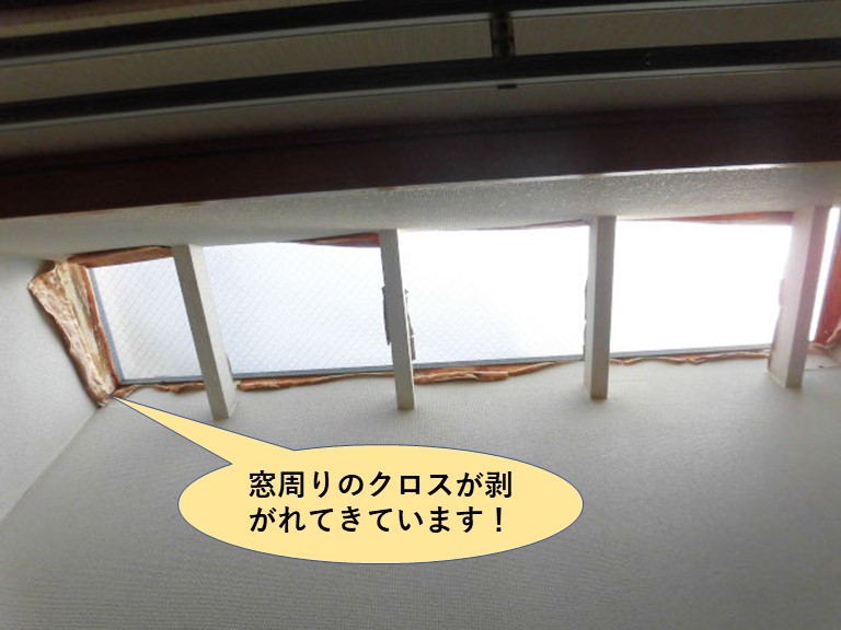 和泉市の窓周りのクロスが剥がれてきています