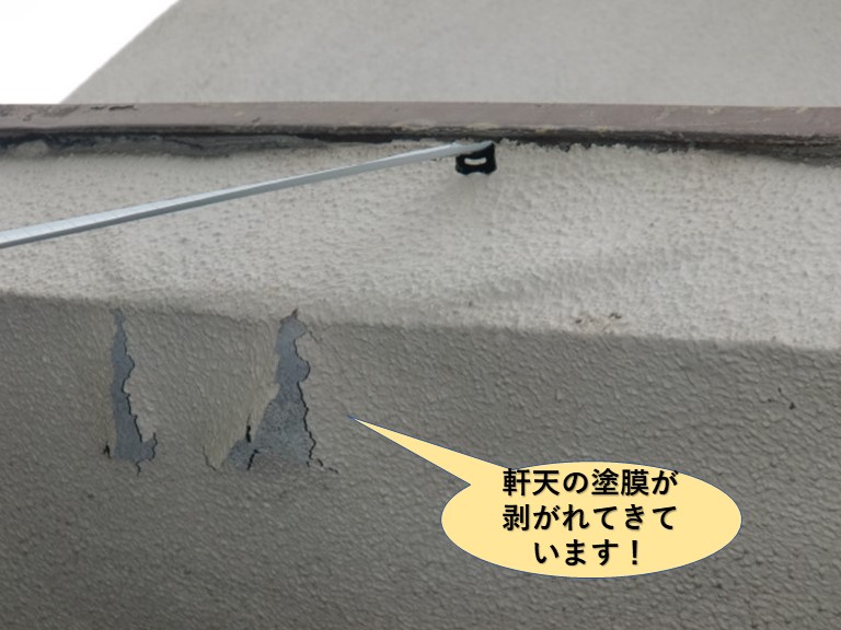 岸和田市の軒天の塗膜が剥がれてきています