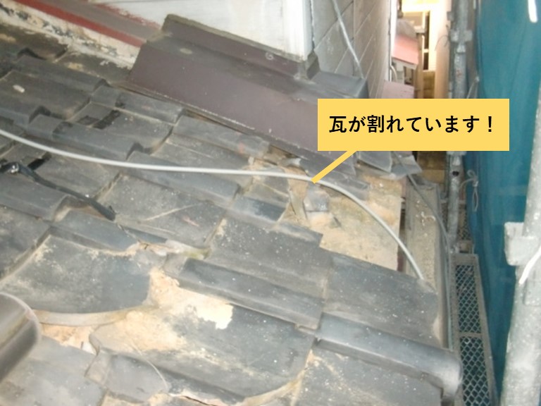 和泉市の下屋の瓦が割れています