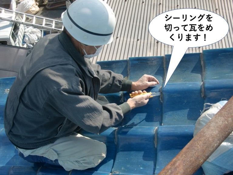 岸和田市の瓦のシーリングを切って瓦をめくります