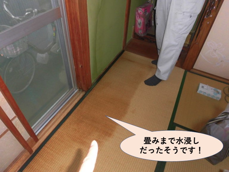 岸和田市の住宅の畳みまで水浸しだったそうです！