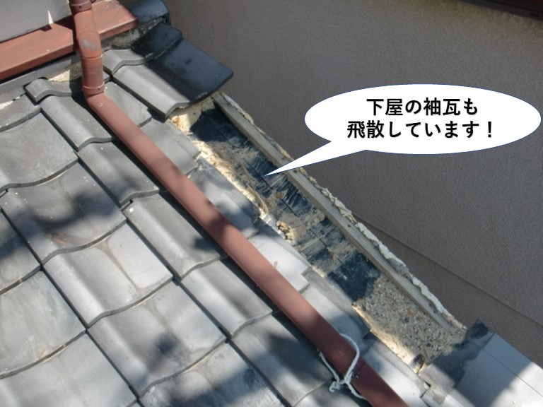 泉佐野市の下屋の袖瓦も飛散しています