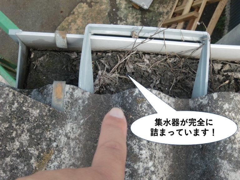 岸和田市の集水器が完全に詰まっています